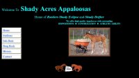 Shady Acres Appaloosas