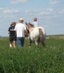 Little boy getting a ride out in the field