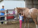 A girl loving a horse