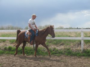 Alan riding Joey in the arena Alan riding Joey in the arena