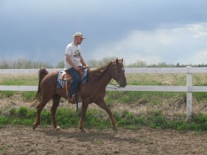 Alan riding Joey in the arena