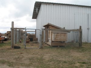 New Chicken Pen Completed and our 'ladies' now at home. New Chicken Pen Completed and our 'ladies' now at home.