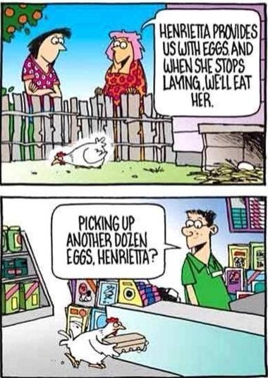 Cartoon of Henrietta Cartoon of Henrietta