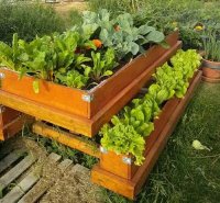 Picnic Table Garden