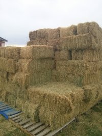 Hay in the stack Hay in the stack