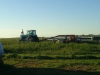 swathing the second cut of alfalfa swathing the second cut of alfalfa